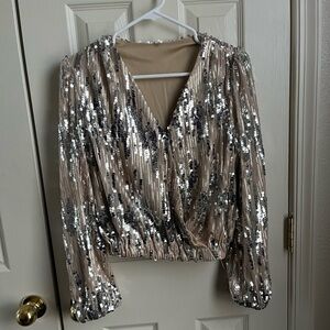 Shimmer Cropped Blouse